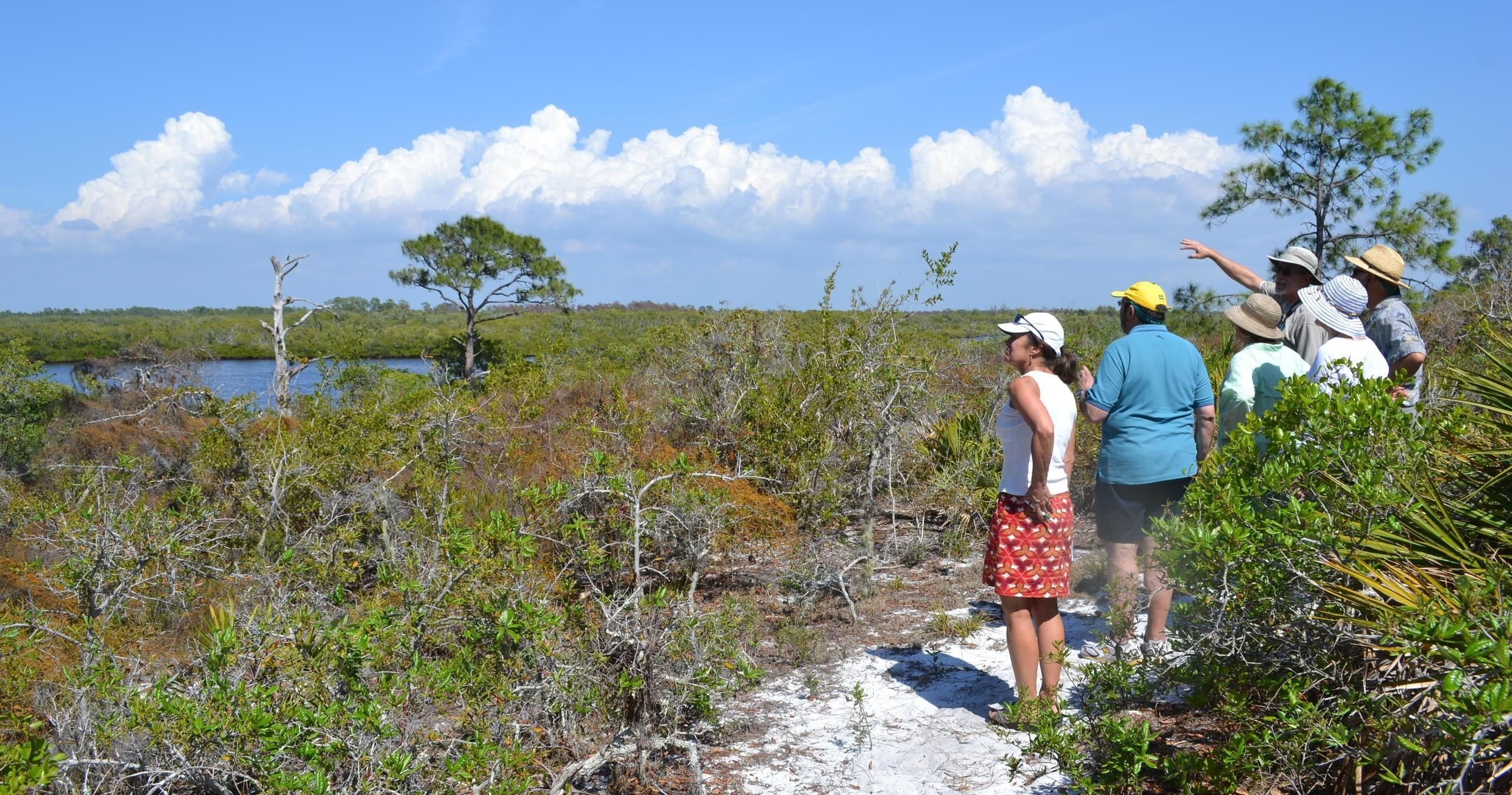 Coastal Scrub Excursion