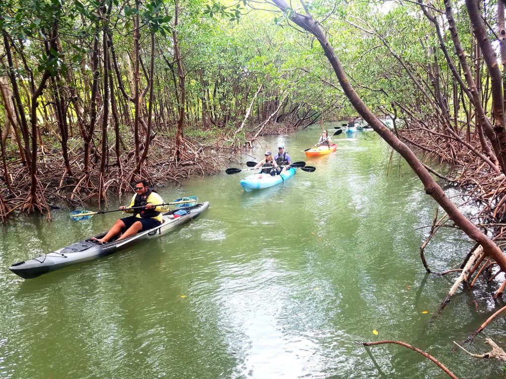 a group of people riding on the back of a boat